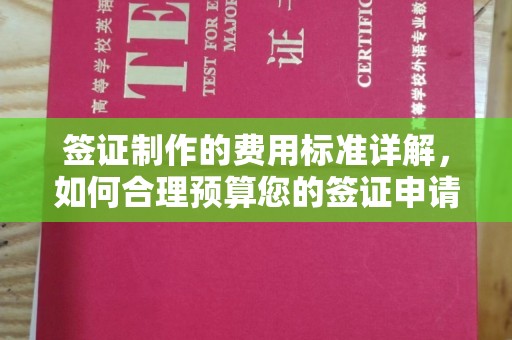 北埔签证制作的费用标准详解，如何合理预算您的签证申请成本